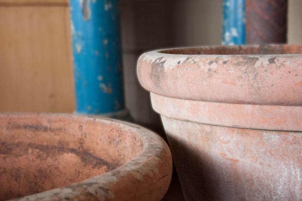 Terracotta Pair of large English Lemon Tree Pots