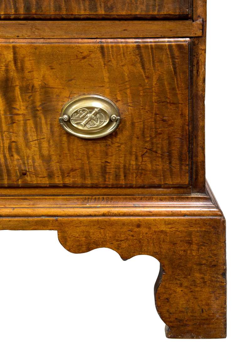 American Chippendale Tiger Maple Chest with Original Brasses, New England, circa 1790