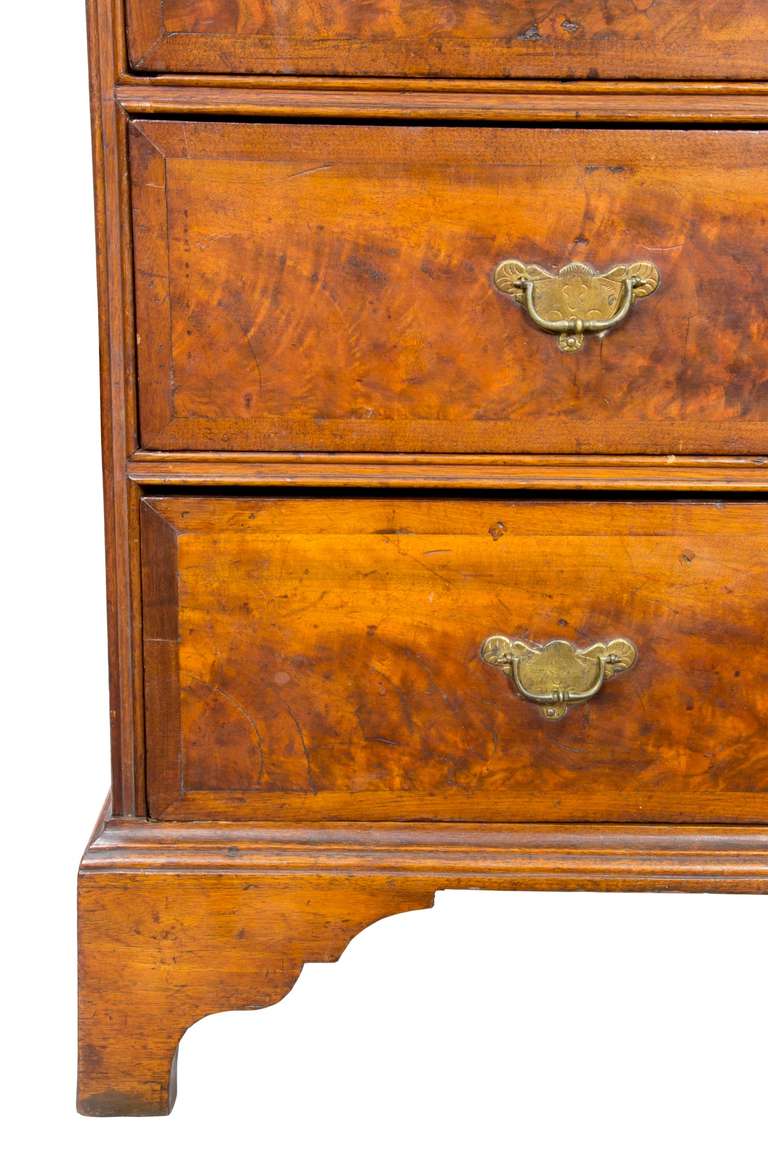 Queen Anne Desk, Burled Walnut Veneer, Original Brasses, American, circa 1740 In Excellent Condition For Sale In Providence, RI