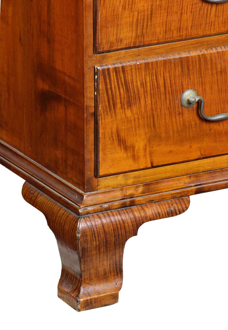 Chippendale Tiger Maple Desk with Bookcase, Newport, circa 1780 2