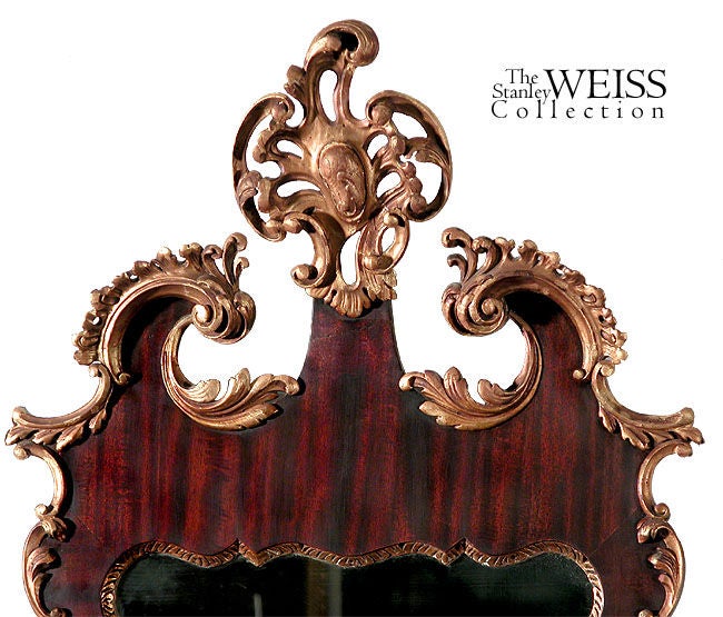 This is a good-sized mirror with a strong presentation. The mahogany is of the best quality with strong ribbon grain. The carving is also very deeply carved and all of wood that has been gilded (no plaster). It is a superb example and produced in