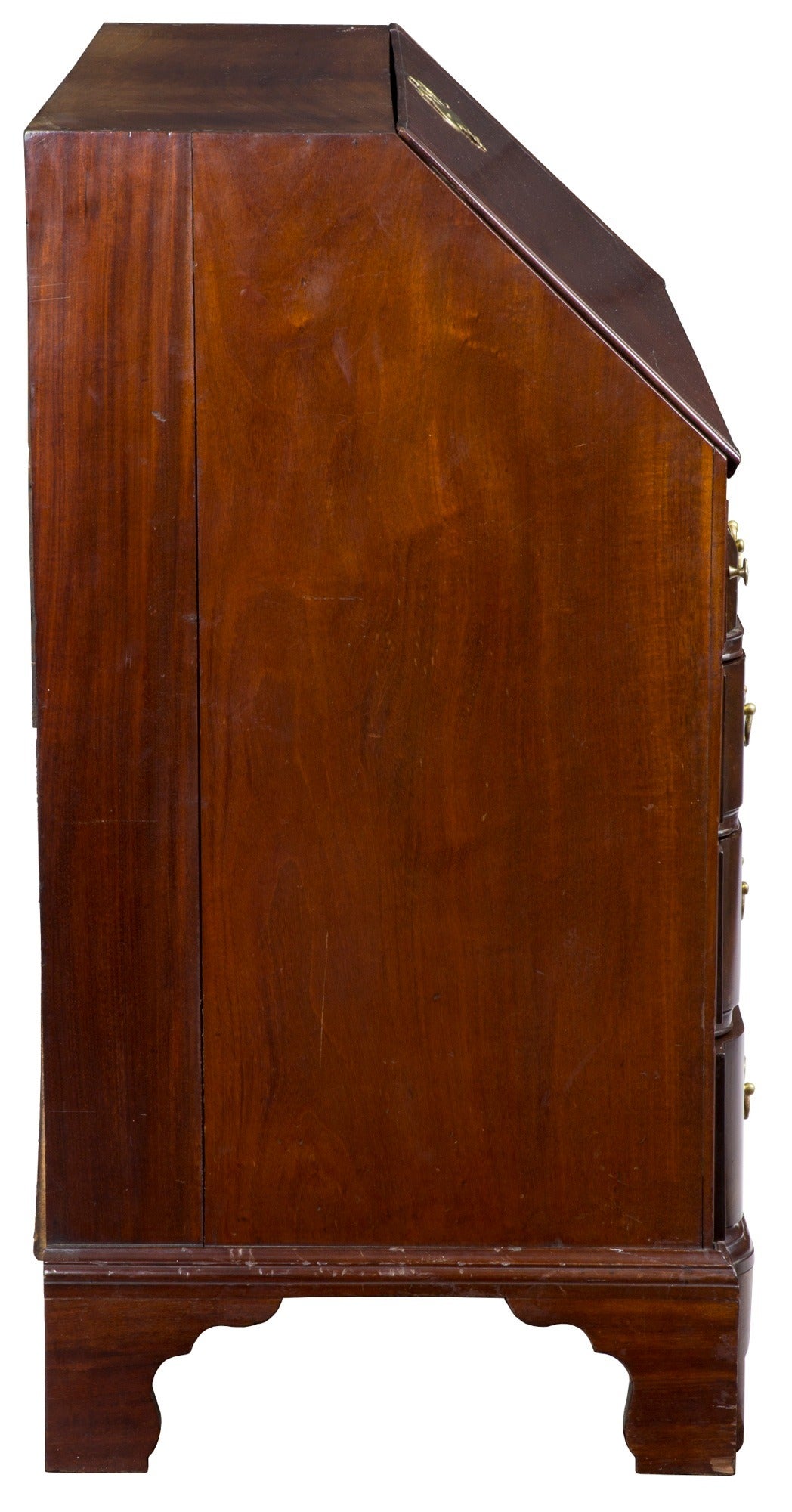 celebrated form of mahogany