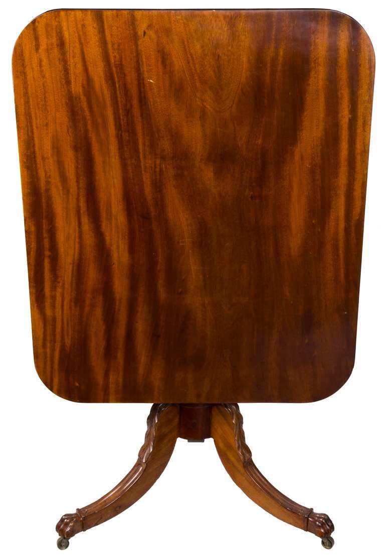 This table has a large one-piece board top of beautifully striped mahogany (see above). The center column is turned in an urn shape with acanthus carving which through a series of shaped turnings it integrated into a Classic saber foot with similar