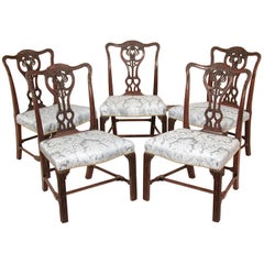 Set of Five Large Chippendale Side or Dining Room Chairs