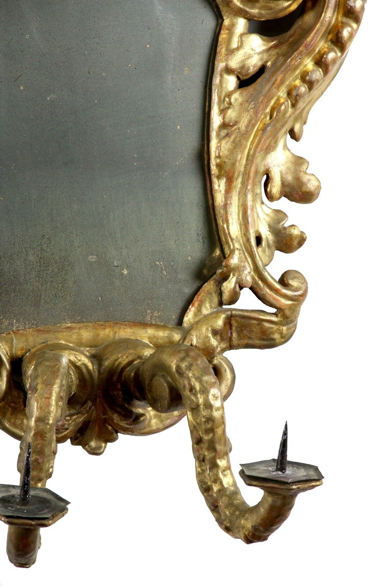 Carved Rococo Gilt Mirror with Jester, Continental, 17th-18th Century In Excellent Condition For Sale In Providence, RI
