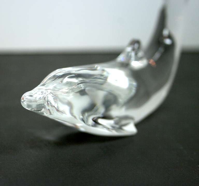 baccarat dolphin