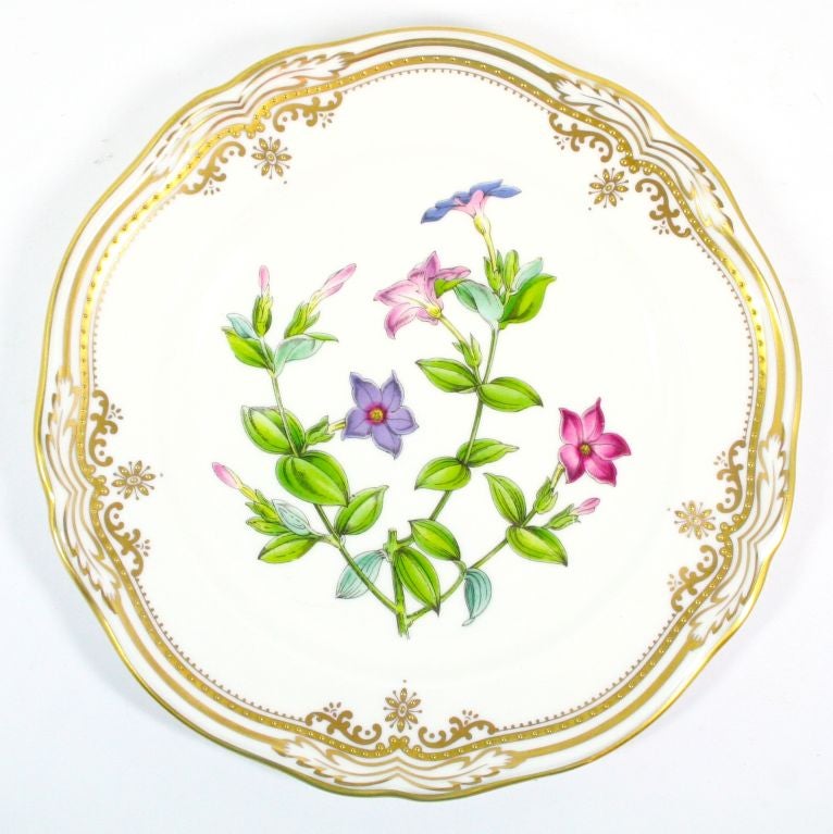 spode stafford flowers china