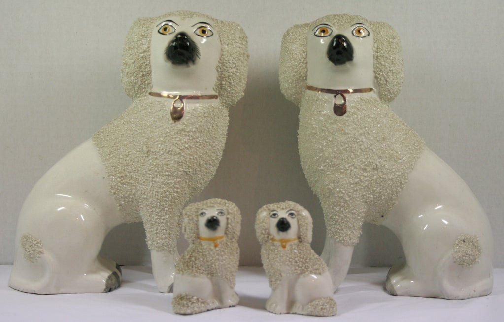 Old Staffordshire Ware Dogs 3