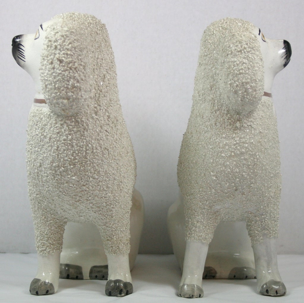 Lovely pair of Staffordshire dogs in great condition. These are very nice and are very sought after as traditional accessories.
