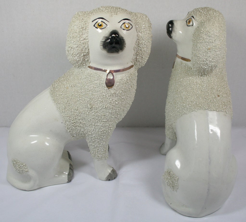 Old Staffordshire Ware Dogs In Excellent Condition In New York, NY