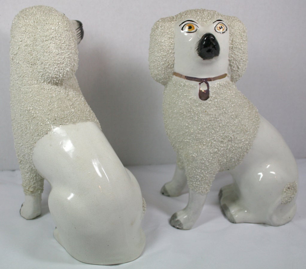 20th Century Old Staffordshire Ware Dogs