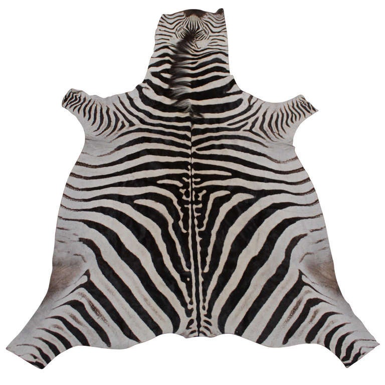 Vintage Zebra Skin Rug at 1stDibs