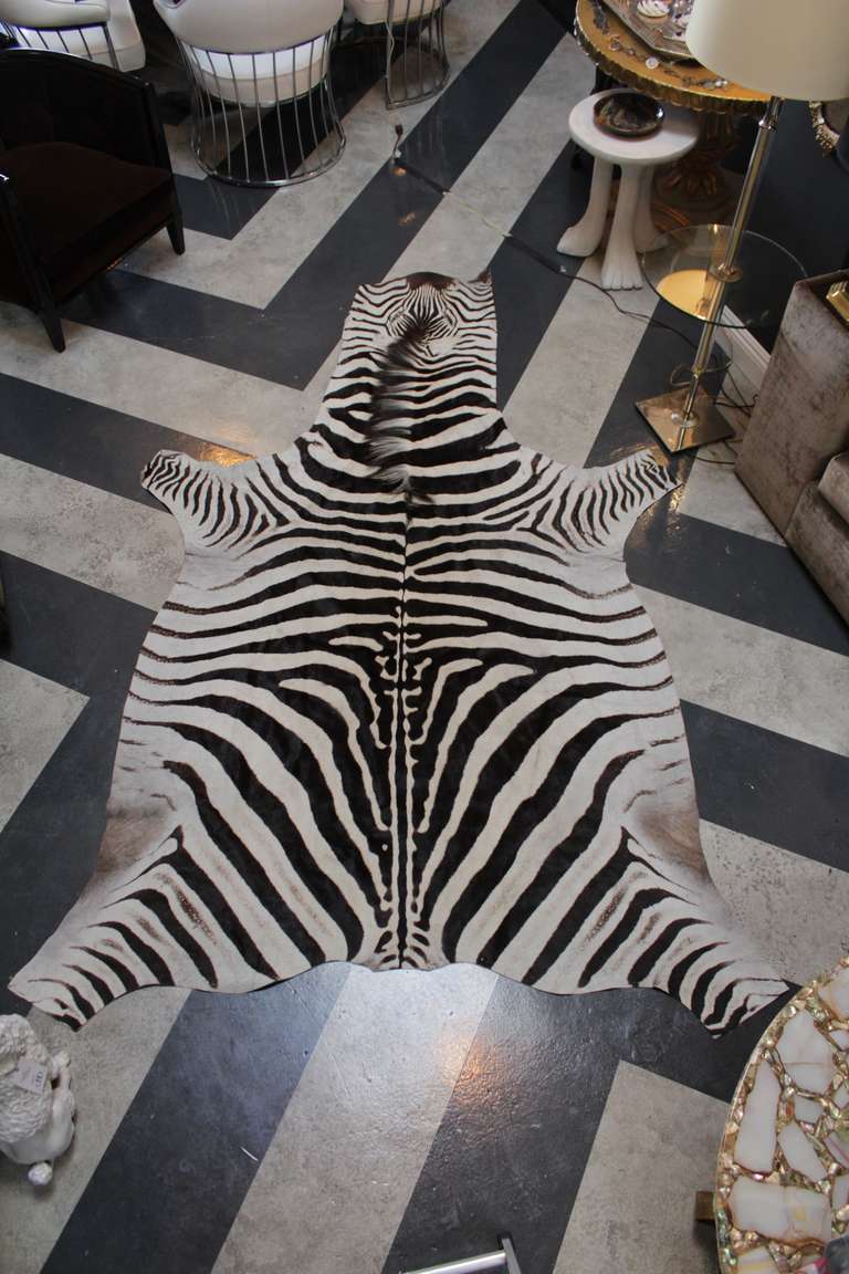 Central African Vintage Zebra Skin Rug