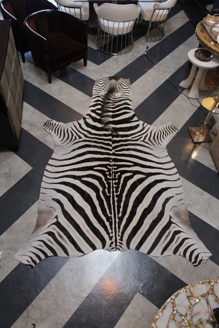 Vintage Zebra Skin Rug at 1stDibs