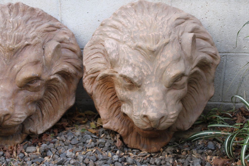 Vintage pair of lion fountain heads.  Beautiful facial detail with some chipping that adds to character.  They are meant for a wall mount application.  Water would flow from their mouth into your surround or pool - 2 available - 695.00 ea.