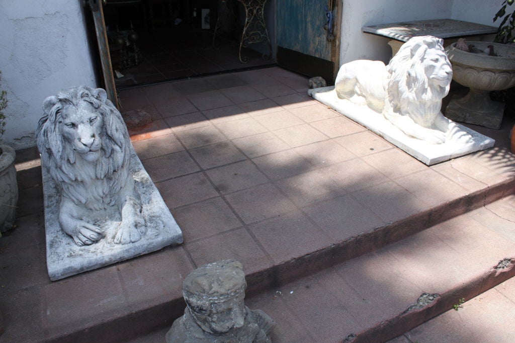 Magnificent pair of 1920's concrete lion statues.  Age appropriate wear gives character.  Slight restoration at base.