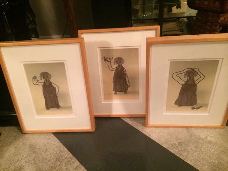 20th Century Rare William Wegman - Three Framed Dog Photo/Illustrations