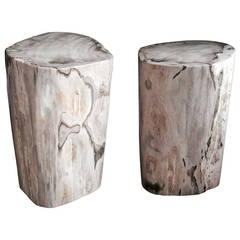 Vintage Pair of Polished Petrified Wood Tables or Stools