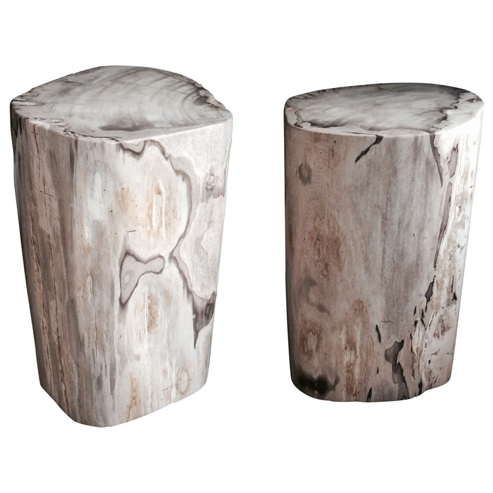 Pair of Polished Petrified Wood Tables or Stools