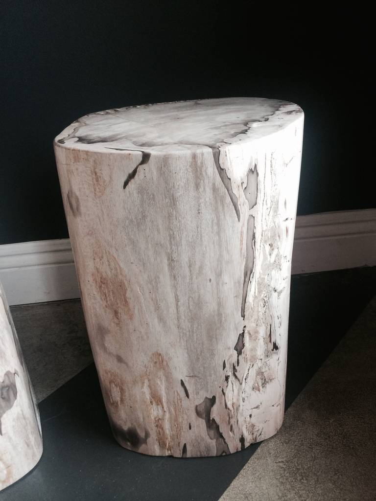 American Pair of Polished Petrified Wood Tables or Stools