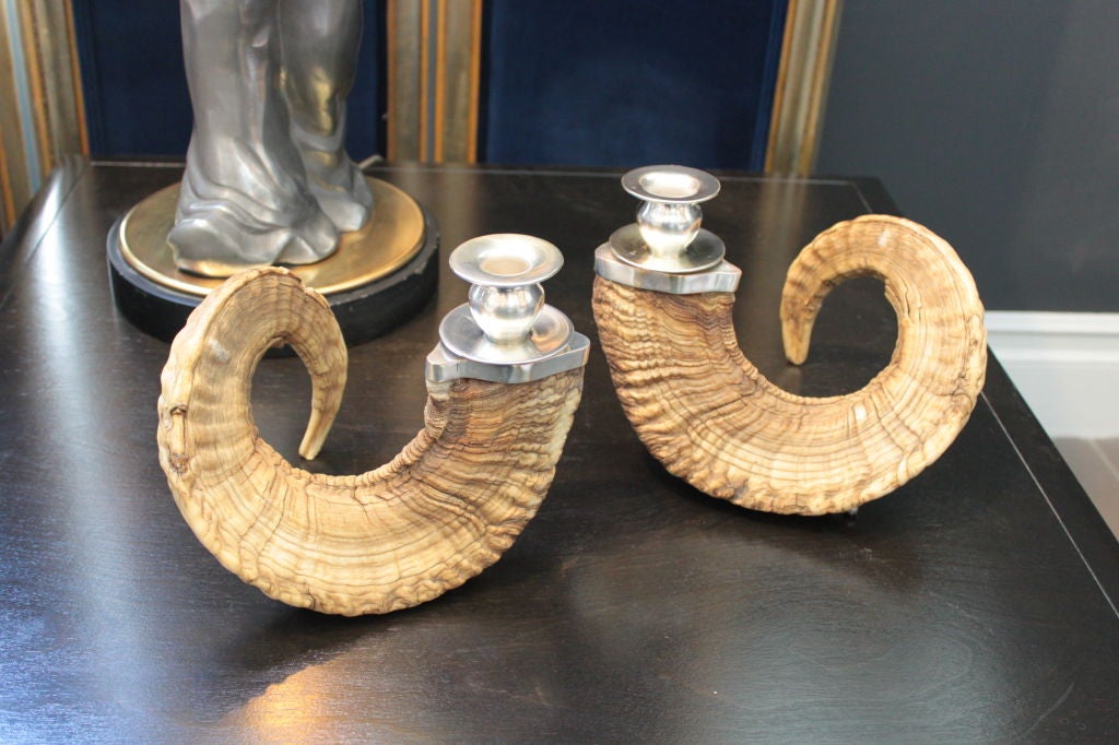 Lovely pair of Rams Horn candle sticks with silver candle holders