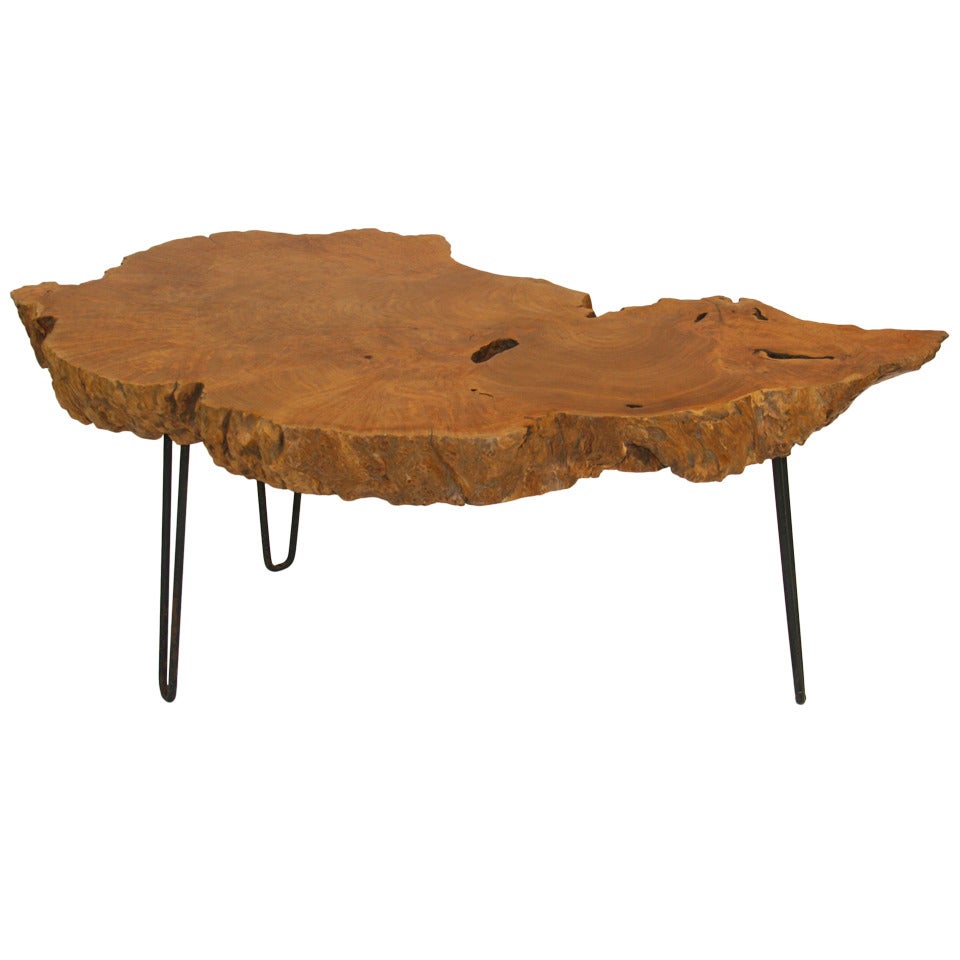 Table en ronce de ronce de ronce à bord vif sur pieds en épingle à cheveux d'acier