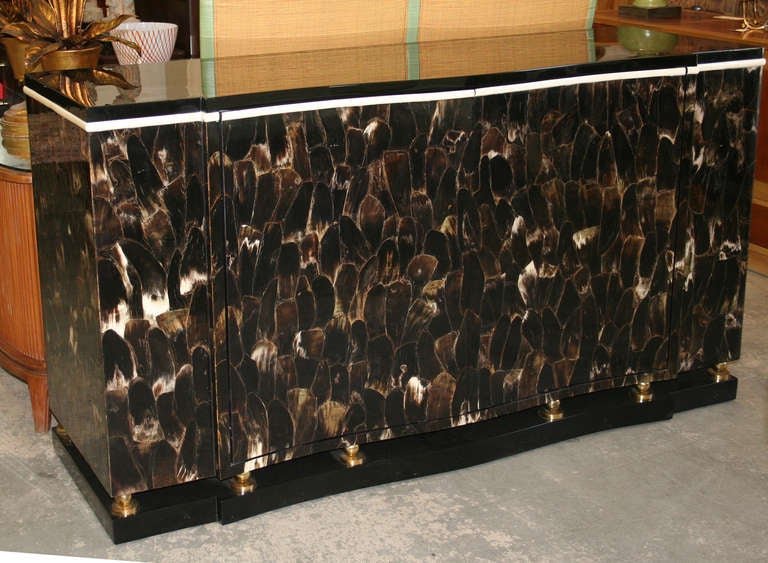 Cabinet in Horn and Bone by Enrique Garcel