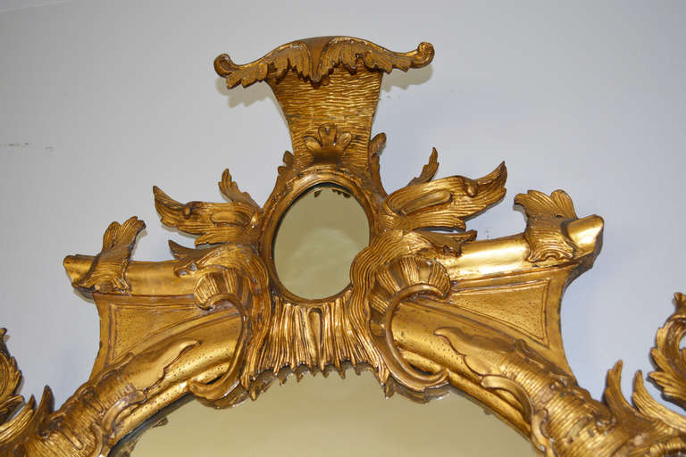 Rococo 18th C. Rocaille Giltwood Mirror