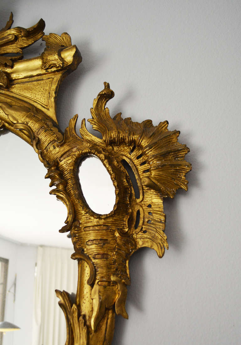 Unknown 18th C. Rocaille Giltwood Mirror