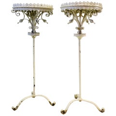 Exuberant wrought iron plant stands
