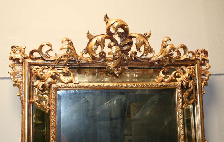 Rococo Revival 19th c. Continental Carved Giltwood Regence Mirror