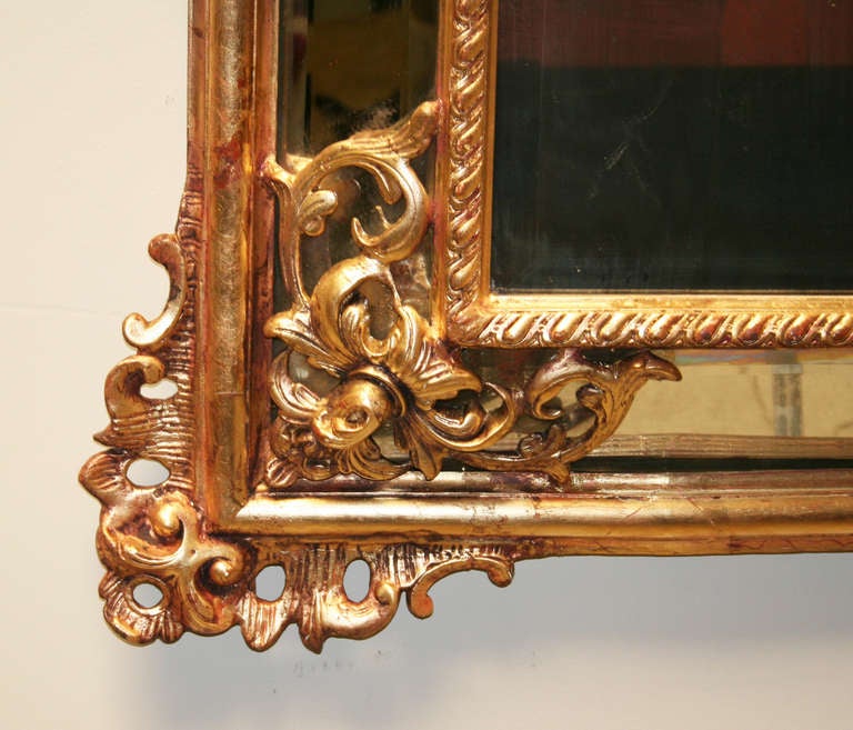 French 19th c. Continental Carved Giltwood Regence Mirror