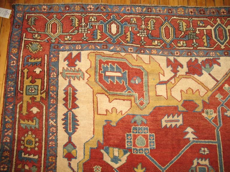 Un authentique tapis serapi persan ancien, à la coupe nette, avec des médaillons et des bordures classiques.

9'1'' x 11'7''