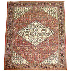 Persian Sultanabad Rug 7