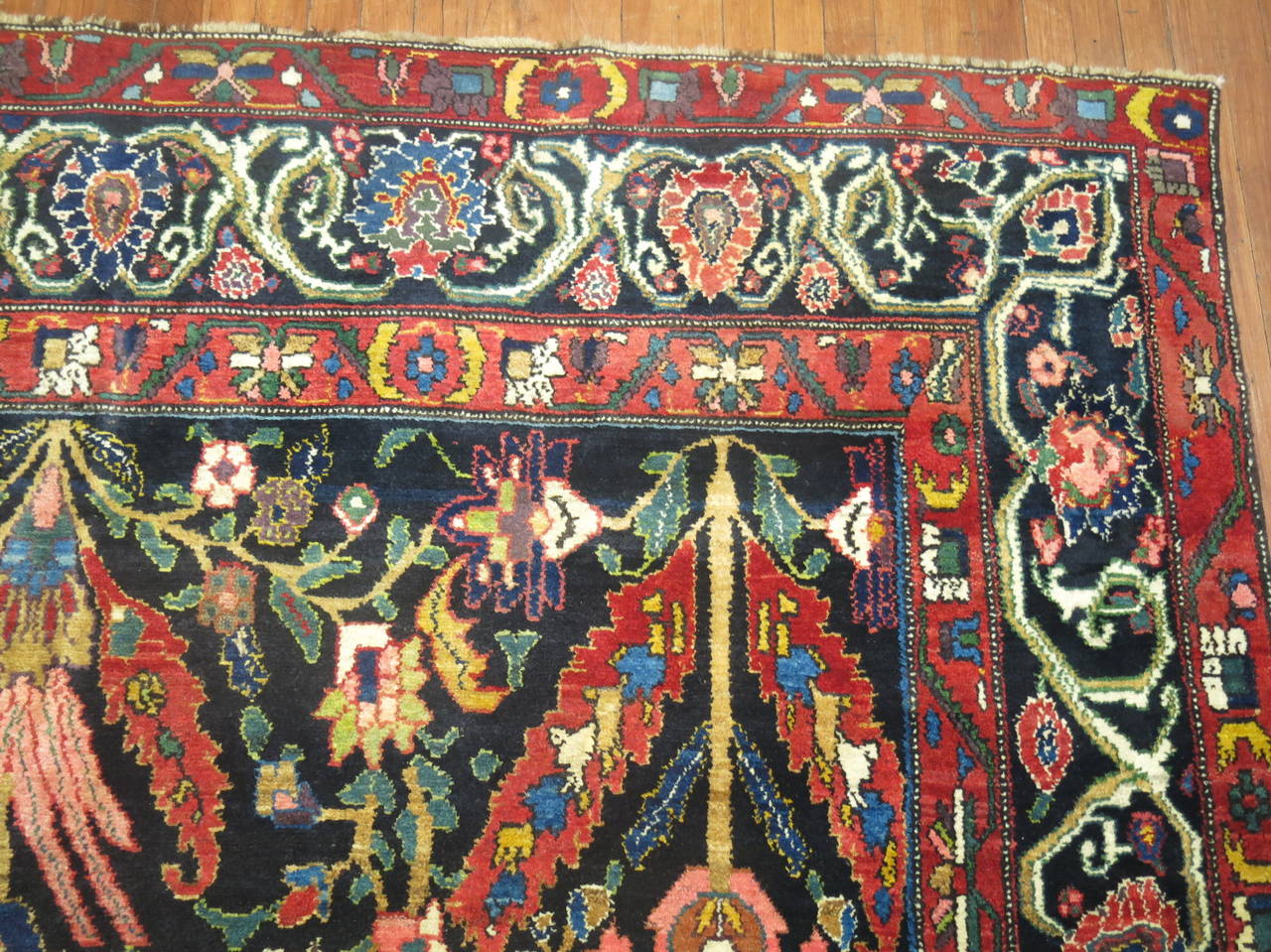Antique Senneh Bakhtiari Rug