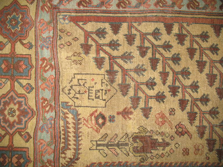 Antique Persian Bakshaish Rug 2