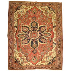 Antique Persian Heriz Serapi Rug 12