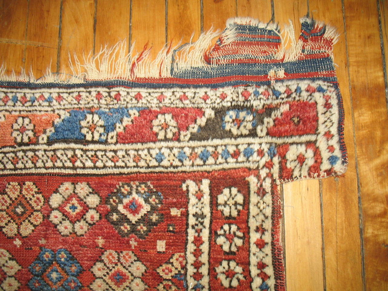 rug collectors