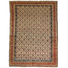 Antique Persian Doroksh Khorassan Rug 12