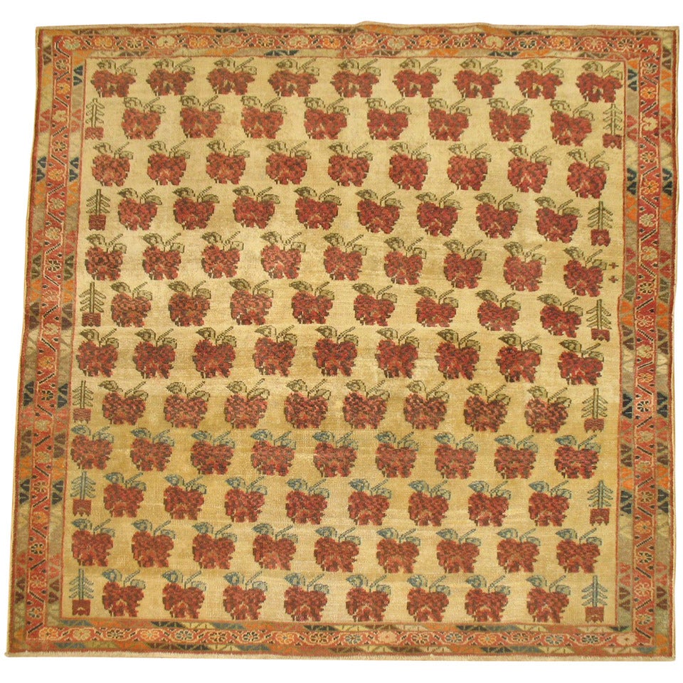 Rare Antique Caucasian Kuba 5 Foot Square Rug 