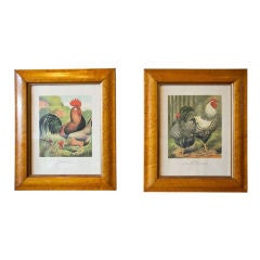 Antique Framed English Rooster Engravings