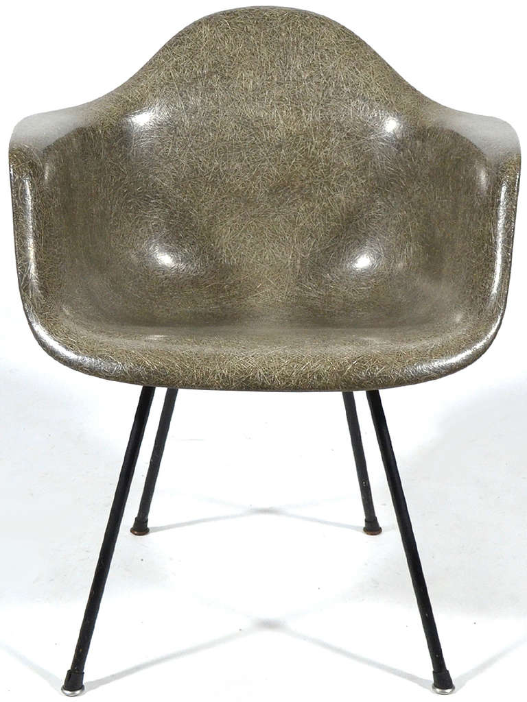 The earliest fiberglass Eames chairs were produced by Zenith Plastics and came in a limited palate of 5 colors including elephant hide gray. The Zenith produced shells are distinctive for their high fiber content and larger, more substantial rubber