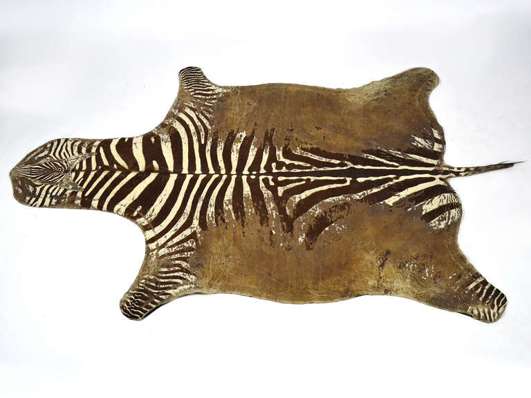 Distressed Antique Burchell Zebra Hide Rug at 1stdibs