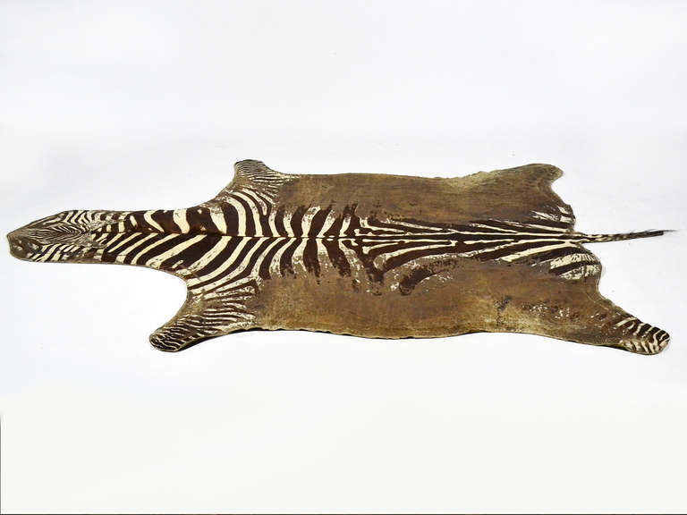 Distressed Antique Burchell Zebra Hide Rug at 1stdibs