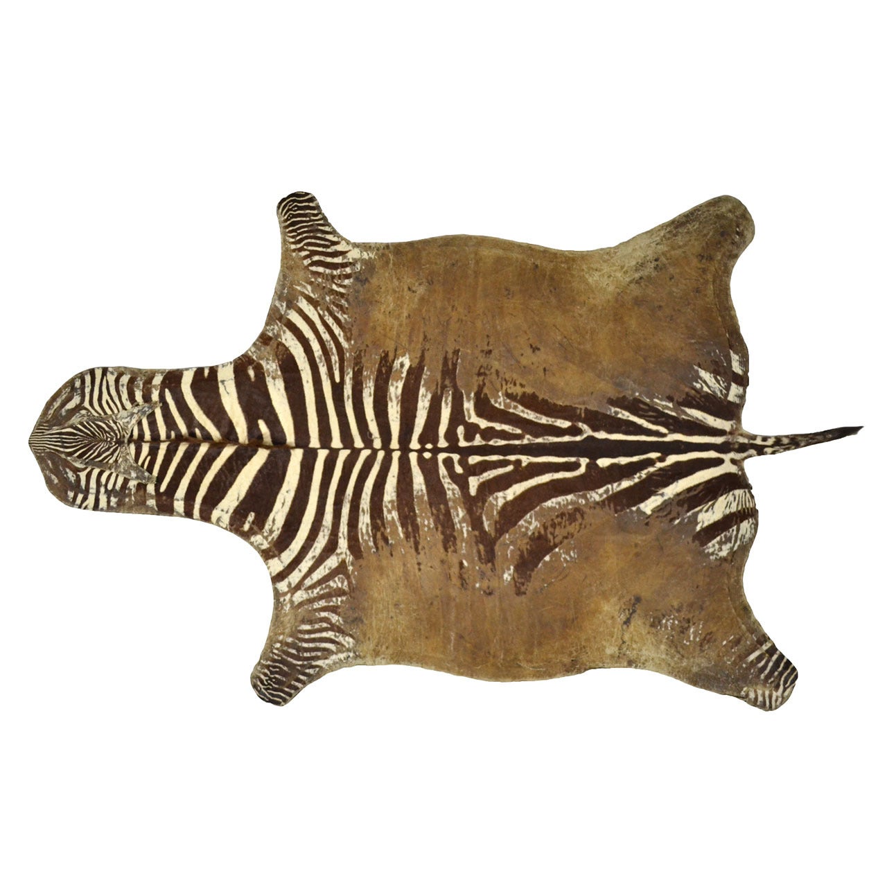 Distressed Antique Burchell Zebra Hide Rug