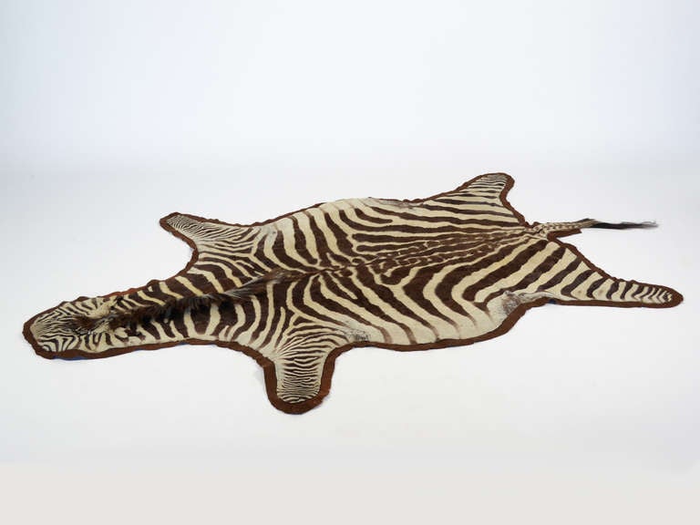 Other Zebra hide rug