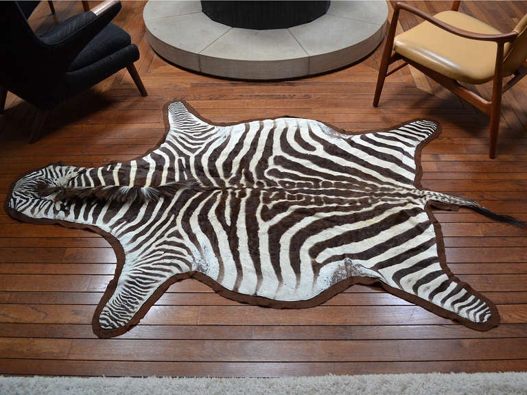 Unknown Zebra hide rug
