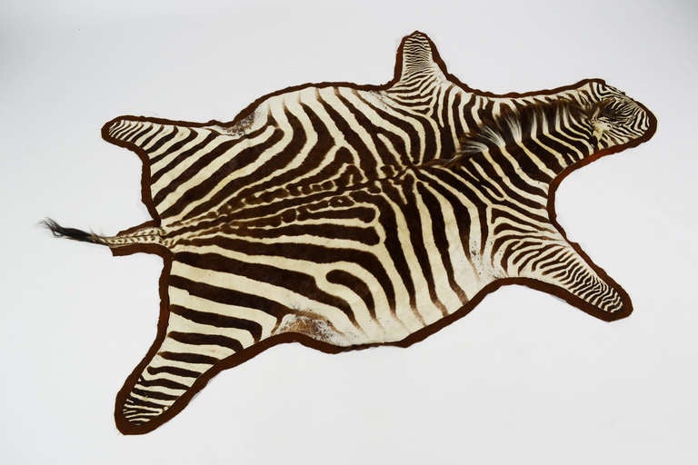 Zebra Hide Zebra hide rug