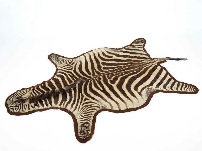Zebra hide rug 2