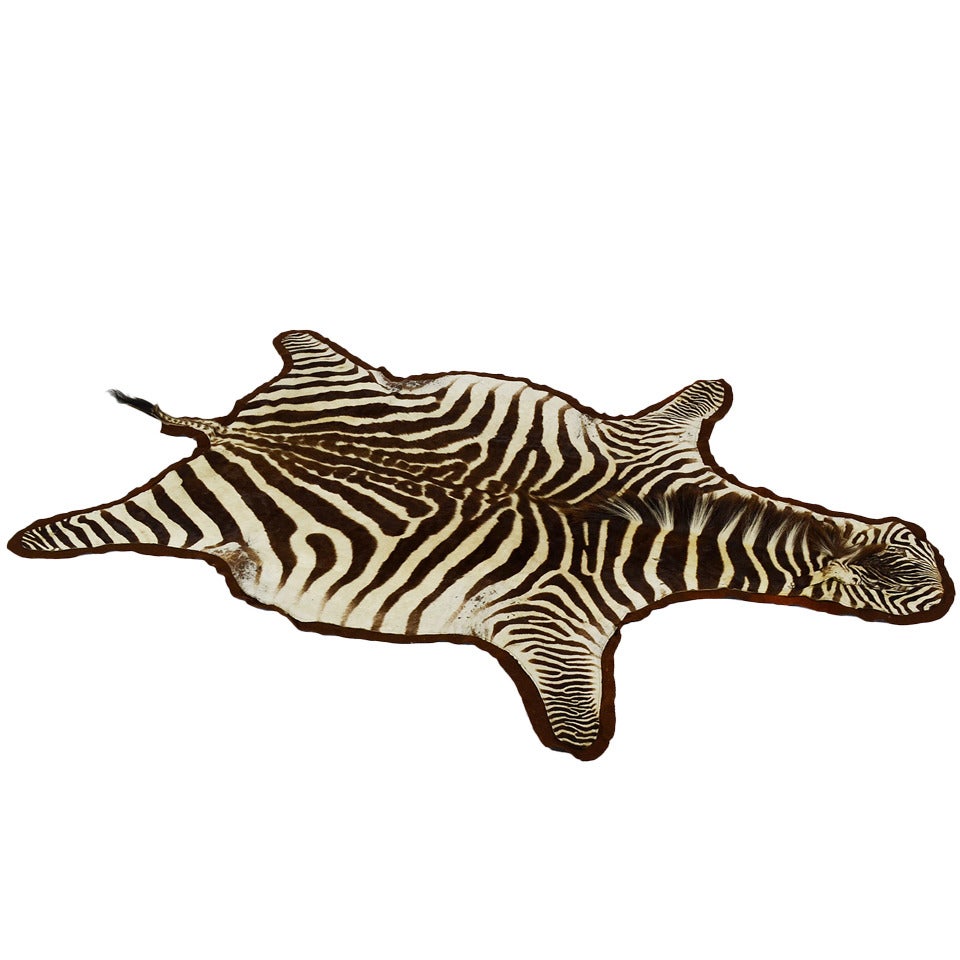 Zebra hide rug
